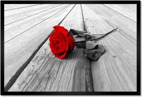 Poszterek keretben 60x40 Vörös rózsa a fán
