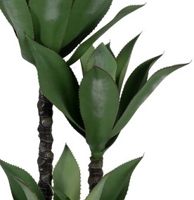 Műnövény (magasság 120 cm) Agave – Ixia