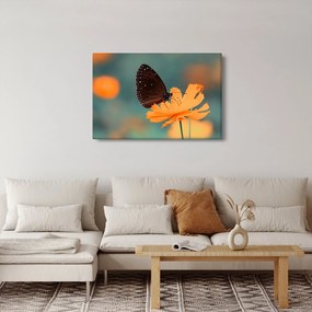 Kép - pillangó narancssárga virágon (90x60 cm)