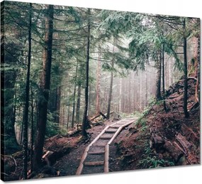 Vászonkép 50x40 Erdei ösvény