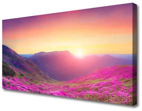 Vászonfotó Sun Mountain Meadow Nature 125x50 cm