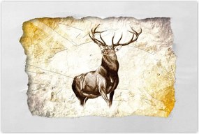 Plakátok 60x40 Nagy szarvas