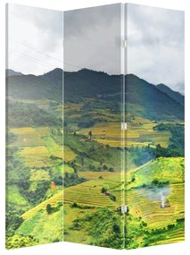 Paraván - Ültetvények (126x170 cm)