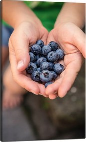 Vászonkép Konyha Áfonya Erdei gyümölcsök Természet 60x100 cm