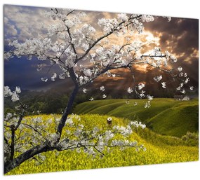 Kép - Virágzó fa az országban (üvegen) (70x50 cm)