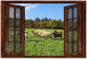 Poszterek 60x40 Juh legeltetés Bárányok