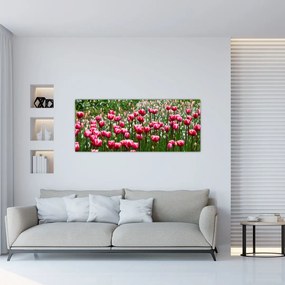 Tulipán képe (120x50 cm)