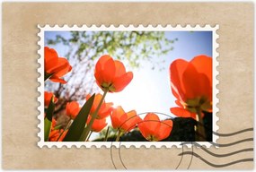 Poszterek 120x80 Az égbe a pipacsokon keresztül