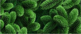 Kép - Tűlevelű gallyak (120x50 cm)