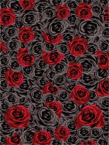 Fotótapéta Rózsa Piros Fekete Fehér Kontraszt Elegancia Vinyl 184x254 +ragasztó