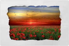 Poszterek 90x60 Tájkép Látvány