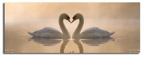 Swan Love vászon kép, 90 x 30 cm