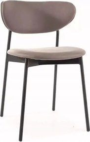 Bézs kárpitozott szék étkezőbe, konyhába, nappaliba modern Dan