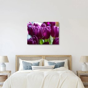 Tulipán képe (üvegen) (70x50 cm)
