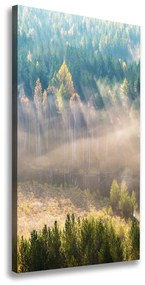 Feszített vászonkép Köd az erdőben ocv-104886541