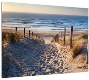 Kép - Út az északi-tengeri strandra, Hollandia (üvegen) (70x50 cm)