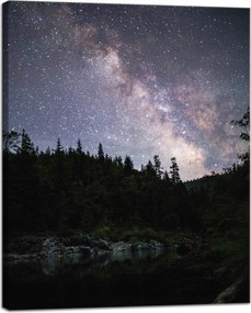 Vászonkép Kozmosz Ég a tóparton 40x50