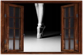 Poszterek 120x80 Balett balerina tánc