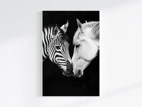 Poszter Portré Ló Zebra Fehér Fekete Kontraszt B&w 80x120