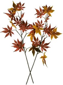 Őszi ág készlet Javor, 60 cm, 2 db
