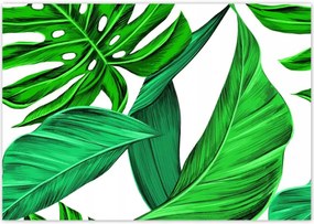 Poszterek 100x70 Zamatos Monstera Trópusok