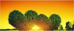 Kép - szív a fák tetején (120x50 cm)
