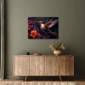 Kép - Kolibri (70x50 cm)