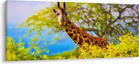Egy kép egy zsiráfról Afrikában (120x50 cm)