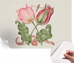 Öntapadós Stílusos Dekoratív Fotótapéta Tulipán szépség 104x70 cm