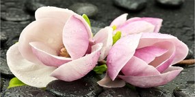 Fotó üvegkép Magnólia kő zen 140x70