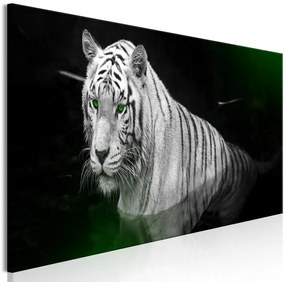 Kép - Shining Tiger (1 Part) Green Narrow