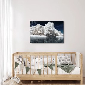 Kép - Hófehér fák (90x60 cm)