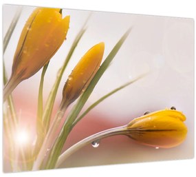 Kép - Tavaszi virágok (70x50 cm)