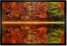 Poszterek keretben 60x40 Őszi táj