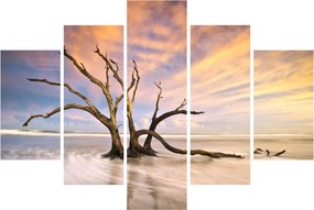 Egy fa képe az óceánban (150x105 cm)