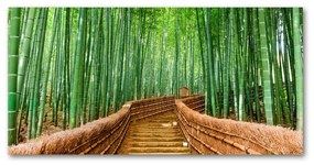 Akrilüveg fotó Bambusz erdő oah-97156437