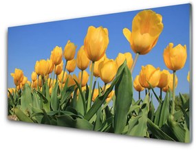 Akrilkép Tulipán virágok Plant 125x50 cm