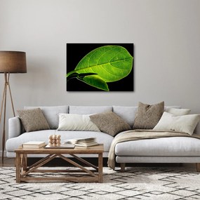 Kép - zöld levél (70x50 cm)