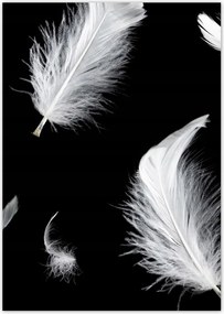 Poszterek A5 Pion Fehér lelógó tollak