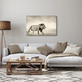 Kép - Az éhes oroszlán (90x60 cm)