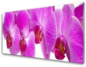 Fali üvegkép Virág növény természet 140x70 cm