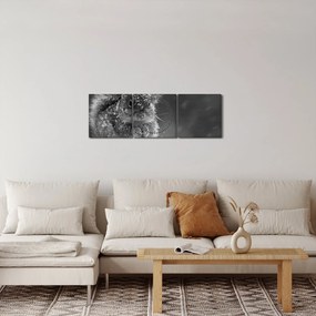 Kép - Mókus télen (órával) (90x30 cm)