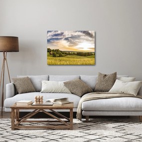 Tájkép (70x50 cm)