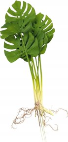Monstera Csokor Gyökerekkel Real Touch Minőség Nagy Szilikon Csokor 68 CM