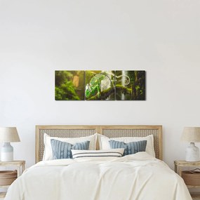 Kaméleon képe (órával) (90x30 cm)