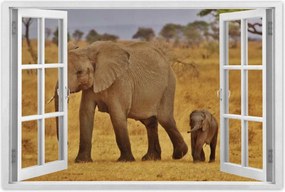 Poszterek 120x80 Elefánt az anyjával