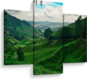 Kép - Teaültetvények Malajziában (90x60 cm)