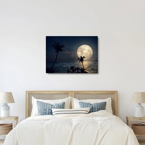 Kép - Strand teliholddal (70x50 cm)