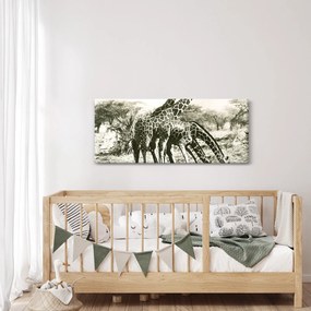 Kép - Zsiráfok, vintage (120x50 cm)