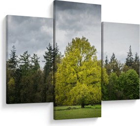 Egy zöld fa képe a mező közepén (90x60 cm)